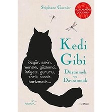 Paloma Yayınevi Kedi Gibi Düşünmek ve Davranmak