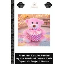 Floranova Premium Kutulu Pembe Ayıcık Mutluluk Veren Tatlı Oyuncak Değerli Hatıra