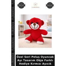 Floranova Özel Seri Peluş Oyuncak Ayı Tasarım Obje Farklı Hediye Kırmızı Ayıcık