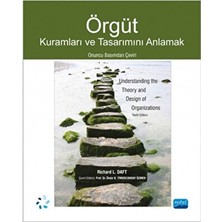TeknoKapsül Örgüt - Kuramları ve Tasarımını Anlamak