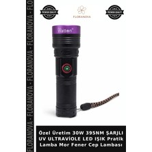 Floranova Özel Üretim 30W 395NM Şarjlı Uv Ultraviole LED Işık Pratik Lamba Mor Fener Cep Lambası
