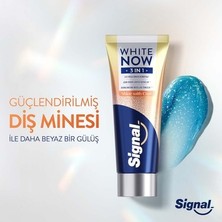 75 ml Diş Macunu 3'ü 1 Arada Parlaklık Için