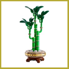 Bezos Botanicals Şans Bambusu 10344 Bcks