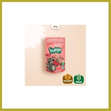 Bezos Organik Çilekli Glutensiz Vegan Mini Küpler 30 gr Bcks
