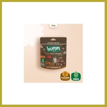 Bezos Organik Fındıklı Kakaolu Vegan Kek 30 gr Bcks