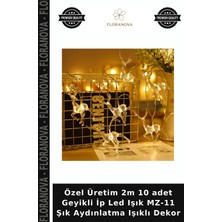 Floranova Özel Üretim 2m 10 Adet Geyikli Ip LED Işık Mz-11 Şık Aydınlatma Işıklı Dekor