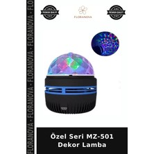 Floranova Özel Seri MZ-501 Dekor Lamba