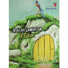 TeknoKapsül A Bird Landed In A Cave - Responsibility