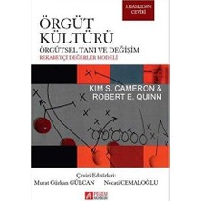 TeknoKapsül Örgüt Kültürü Örgütsel Tanı ve Değişim