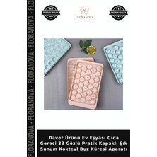 Floranova Davet Ürünü Ev Eşyası Gıda Gereci 33 Gözlü Pratik Kapaklı Şık Sunum Kokteyl Buz Küresi Aparatı