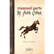 TeknoKapsül Mesnevi Şerhi
