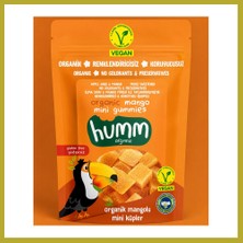 Bezos Organik Glutensiz Vegan Mangolu Mini Küpler 30 gr Bcks