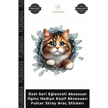 Floranova Özel Seri Eğlenceli Aksesuar Ilginç Hediye Keşif Aksesuarı Fulcar Stray Araç Stickerı