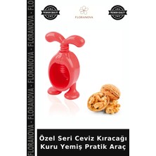 Floranova Özel Seri Ceviz Kıracağı Kuru Yemiş Pratik Araç