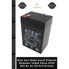 Floranova Özel Seri Mobil Enerji Elektrik Ekipmanı Yedek Parça Atex Akü 6V 4A (10.5X7X4.5CM)