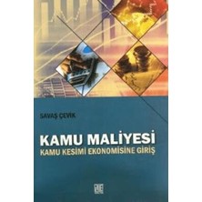 TeknoKapsül Kamu Maliyesi
