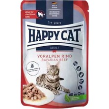 Hilera Happy Cat Sığır Etli Tahılsız Yetişkin Kedi Yaş Mama 85GR