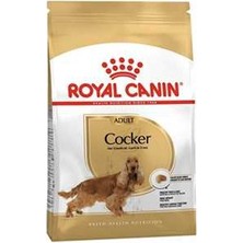 Hilera Royal Canin Cocker Yetişkin Köpek Maması 3kg