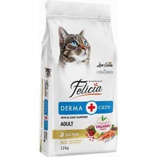 Hilera Felicia Düşük Tahıllı Hipoalerjenik Somonlu Yetişkin Kedi Maması 12KG