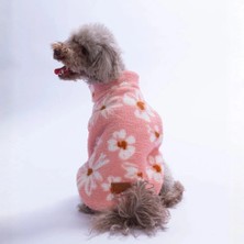 Pawstar 26209 Blush Daisy Küçük Irk Köpek Pofuduk Kaban