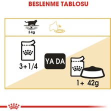 Hilera Royal Canin British Shorthair Yetişkin Kedi Konservesi 85GR