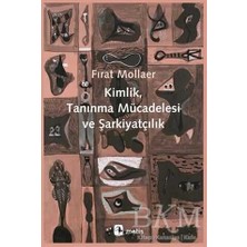 TeknoKapsül Kimlik, Tanınma Mücadelesi ve Şarkiyatçılık