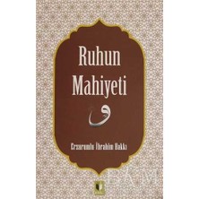 TeknoKapsül Ruhun Mahiyeti