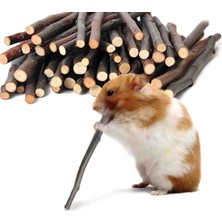 Belkase Store Kemirme Çubuğu 30 Lu Paket Elma Dalı -Tavşan Hamster Guinea Pig Diş Sağlığı Oyuncağı