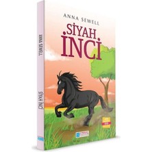 Evrensel İletişim Yayınları Siyah Inci