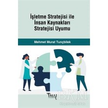 TeknoKapsül Işletme Stratejisi ile Insan Kaynakları Stratejisi Uyumu