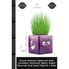Floranova Çocuk Hediyesi Eğlenceli Hobi Çimadam Hediyelik Eğitici Doğal Oyuncak Küp Emoji Figürlü 1 Adet
