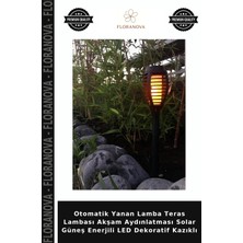 Floranova Otomatik Yanan Lamba Teras Lambası Akşam Aydınlatması Solar Güneş Enerjili LED Dekoratif Kazıklı