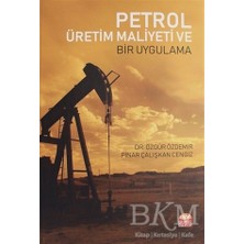 TeknoKapsül Petrol Üretim Maliyeti ve Bir Uygulama