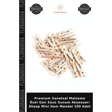 Floranova Premium Sanatsal Malzeme Özel Gün Süsü Sunum Aksesuarı Ahşap Mini Ham Mandal 100 Adet