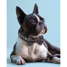 Mythriva Papyonlu Isimli Köpek Tasması I Isimli Papyonlu Tasma I Kişiye Özel Isim Nakışı I Küçük, Orta ve Büyük Irk Köpekler I Renk Seçenekli (Siyah, M)
