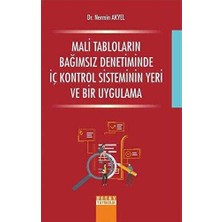 TeknoKapsül Mali Tabloların Bağımsız Denetiminde Iç Kontrol Sisteminin Yeri ve Bir Uygulama