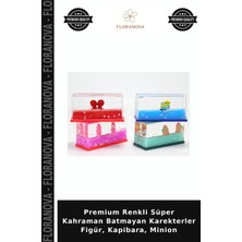 Floranova Premium Renkli Süper Kahraman Batmayan Karekterler Figür, Kapibara, Minion