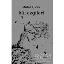 TeknoKapsül Kül Ezgileri