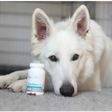 Odea Vetlife Vet Expert Vetoskin Kedi Köpek Vitamin, 90 Kapsül, Eklem Destekleyici
