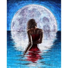 Hapy Hoby Dolunaya Tutkulu Yürüyüş Sayılarla Boyama Seti - 40X50CM, Çerçeveli