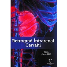 TeknoKapsül Retrograd Intrarenal Cerrahi