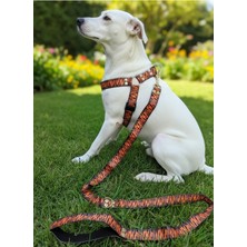 Xml Bayiciniz Tr Köpek Göğüs Tasması Ayarlanabilir ve Gezdirme Kayışı 2'li Set Küçük ve Büyük Irk Kap