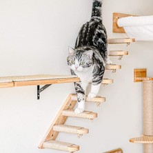Die Grup Kedi Merdiveni Oyun Alanı Duvara Monte Basamak