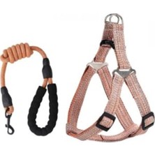 Myg Plus Büyük Boy Köpek Tasması, Turuncu Ayarlanabilir Yaka