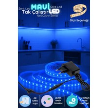 Onerous 2 M 12V Mavi LED Şerit, Fişli
