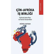 TeknoKapsül Çin - Afrika Iş Birliği