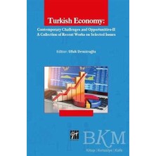 TeknoKapsül Turkish Economy: Contemporary Challenges And Opportunities 2