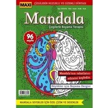 TeknoKapsül Maxi Mandala Çizgilerle Boyama Terapisi 2
