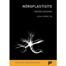 TeknoKapsül Nöroplastisite