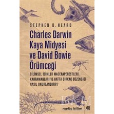 TeknoKapsül Charles Darwin Kaya Midyesi ve David Bowie Örümceği